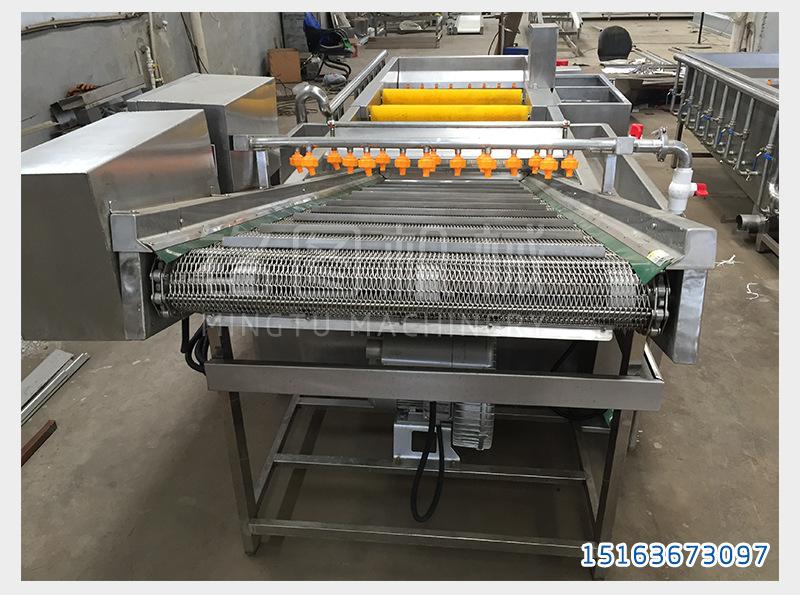 3KW 果蔬涡流清洗机 带高压喷淋的全自动大姜清洗设备哪里有